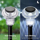 Solar Lights Outdoor 12 Pack Pathway Lights 6000K LED Waterproof Cold White Mushroom Shape for Garden Driveway Walkway Landscape Path Lawn Yard Decor by CozyNest Decor