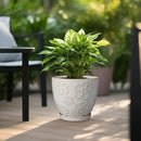 10 Inch Ceramic Planter Pot Large Plant Pot for Indoor Plants Outdoor Round Flower Pot with Drainage Hole and Saucer for Home Garden Decor White by CozyNest Decor