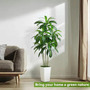Artificial Dracaena Tree Artificial Silk Tree Faux Tree with White Tall Planter Fake Tropical Yucca Floor Plant (1, White Tall Planter, 6 FT) by CozyNest Decor