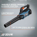 SENIX X2 20 Volt Max* 2-Piece Cordless Power Tool Combo Kit with Battery Powered 10-Inch String Trimmer and Variable Speed Leaf Blower, Includes 4.0 Ah Battery & Charger (S2K2B1-03) by GreenHaven Gardens