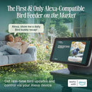 Birdbuddy PRO Solar Smart Bird Feeder with Camera - AI Bird Species Identification, 5MP Photos, 2K HD Video Live Stream Camera, Slow-Motion Video, 2.6in Focus - Blue Solar by CozyNest Decor