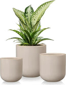 vancasso Ceramic Plant Pots, 4+5+6 inches, Set of 3, Planters with Drainage Hole, Flower Pots Planters Pots for Indoor Plants, Modern Indoor Decorative Garden Pot, Home Decor, Gray by GreenHaven Gardens