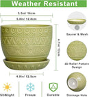 G EPGardening Indoor Plant Pot 5.5 Inch - Ceramic Planter with Drainage Hole and Saucer, Round Boho Plant Pot for Indoor Plants, Plant Lover Gifts, Home Garden Office Decor, Green by GreenHaven Gardens