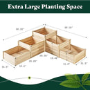 AMERLIFE 3-Tier Raised Garden Bed for Outdoor Gardening, Fir Wood Planter Box with Dividers, Tool-Free Assembly, Garden Box Perfect for Vegetables, Herbs, and Flowers by GreenHaven Gardens