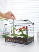 Handmade Glass Planter Terrarium with Lid, Indoor Tabletop Centerpiece Display Box Modern Decor DIY Gift Plant Terrarium Container for Succulent Cacti Air Plants Flower (Black) by CozyNest Decor