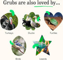 Grubblies - Black Soldier Fly Larvae for Chickens - Chicken Treats Grown in The US and Canada - for Strong Eggshells and Healthy Feathers - Grubblies Hometown Harvest 5LB by GreenHaven Gardens