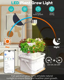 Indoor Herb Garden Growing System Kit, 6 Pods Hydroponics System with LED Grow Light, Hydroponic Planter for Home Kitchen Windowsill, White by GreenHaven Gardens