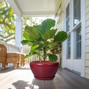 Ceramic Planter - Indoor Plant Pot with Drainage Hole and Saucer 13 Inch Large Pots for Plants Round Modern Outdoor Flower Pot Mid-Century Patio Room Decor Red by GreenHaven Gardens