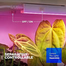 Barrina T5 Grow Lights, Full Spectrum, 2ft 80W (8 x 10W, 500W Equivalent), LED Grow Light Bulbs, Plant Lights for Indoor Plants, Greenhouse, Plug and Play, Pink, 8-Pack by GreenHaven Gardens