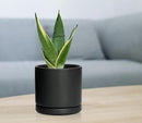 D'vine Dev Ceramic Planter Pot with Drainage Hole and Saucer, Indoor Cylinder Round Flower Pot, 4.6 Inch, Black, 94-O-B-2 by GreenHaven Gardens