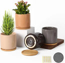 OMAYKEY 4 Inch Ceramic Plant Pot with Saucer, Multicolor Bright Glazed Planters Pots with Drainage Hole and Mesh Pads for Succulent, Indoor Flowers, Snake Plants, Cactus, Herbs, Set of 4 by GreenHaven Gardens