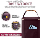 BreastMilk Cooler with Ice Packs and Tote Bags for Nursing, Large Capacity, Waterproof, Fits 9 Baby Bottles Up to 11 oz, Dark Brown by TinyTreasures Baby Boutique