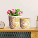 2 Boho Style Terra Cotta Pots, 6 Inch Yellow Plant Pots with Drainage Holes, Suitable for Indoor Plants Ferns,Vines, Succulents and Outdoor Plants Growing, a Gift for Plant Lovers by GreenHaven Gardens