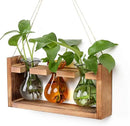 Plant Propagation Station Plant Terrarium Unique Birthday Gifts for Women Plant Lovers Home Office Decor Planter with Wooden Stand - 3 Bulb Glass Vase by GreenHaven Gardens