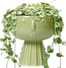 Face Planter Pot - 7 Inch Ceramic Head Planter for Indoor Plants Outdoor, Cute Succulent Flower Pots with Drainage Hole, Room Home Garden Decor, Gardening Gifts, Green by GreenHaven Gardens