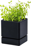 4 Inch Herb Planter Pot, Plastic Planter with Drainage Holes and Saucer, Modern Decorative Gardening Pot for Indoor Plants, Flowers, Herbs, Succulents, Black, Set of 1, 76-Y-B-1 by GreenHaven Gardens