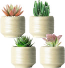 Mini Succulent Planter Set – 3.7 Inch Ceramic Pots with Drainage for Indoor Plants, Small Decorative Flower Pots for Cactus and House Plants, Set of 4 by CozyNest Decor