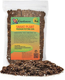Premium Snake Plant Potting Soil Mix, Green Sansevieria Trifascatia Zeylanica Plants, Plant or Re-Pot Your Snake Plant - (3 Quart Bag) by GreenHaven Gardens