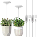LORDEM Grow Light, Full Spectrum LED Plant Light for Indoor Plants, Height Adjustable Growing Lamp with Auto On/Off Timer 4/8/12H, 4 Dimmable Brightness, Ideal for Small Plants, 2 Packs by GreenHaven Gardens