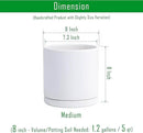 D'vine Dev Set of 2 Plants Pots, 8 Inch Ceramic Planter Pot for Plants with Drainage Hole and Saucer, White, 94-V-D-1 by GreenHaven Gardens