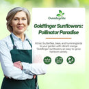 Outsidepride Goldfinger Mexican Sunflower Seeds - 1000 Pcs Annual, Easy-to-Grow, Orange Tithonia Speciosa Flower Seeds w/Drought-Tolerant Blooms for Pollinator Gardens & Vibrant Summer Landscaping by GreenHaven Gardens