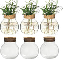 Plant Propagation Station,Hydroponic Terrarium Vase,Desktop Glass Planter Station,for Houses,Garden Decorations,ropagating Hydroponic Plants,Centerpiece Office,Home Garden Decor (6)