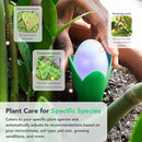 Flora Pod AI-Powered Smart Plant Monitor | for Indoor or Outdoor Plants | Personalized Alerts for Moisture, Temperature, Humidity, and Light by GreenHaven Gardens