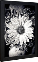 VCK Poster Frame 11x17 Set of 3, Wood Black Picture Frame, Wall Gallery Photo Frames, 3 Pack by CozyNest Decor