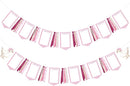 Pink One Silly Goose 1st Birthday Photo Banner Garland from Newborn to 12 Months Paper Photo Banner with Gradient Pink Ribbon for Monthly Milestones Baby Girl First Birthday Party Decorations Supplies by TinyTreasures Baby Boutique