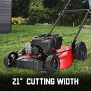 PowerSmart 21 in. Gas Lawn Mower with 125cc Briggs and Stratton E300 Engine, 2-in-1 Push Mower with Mulching & Side-Discharge by GreenHaven Gardens