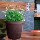 Elly Décor Set of 2 12 inch Round Saucer Modern Self Watering Planter Plates, Pots with Rattan-Like Finish, 12x12 Chocolate Brown by CozyNest Decor