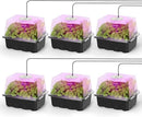 MIXC 6-Pack Seed Starter Tray Kit with Plant Light Seedling Trays with Adjustable Humidity Domes & Clear Cell Trays 12 Full Spectrum LED Beads for Indoor Plant Growth(Black) by GreenHaven Gardens