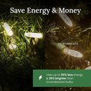 Pro Christmas M5 LED Holiday Lights - 70 Bulbs, 23.3ft - Professional Grade Indoor Outdoor Diamond Cut Sparkle Light Strings for Home Decorations and Christmas Trees - Blue by GreenHaven Gardens