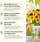 Eden Brothers All Perennial Wildflower Mixed Seeds for Planting, 50 lb, 24,000,000+ Seeds with Lupine, Shasta Daisy | Attracts Pollinators, Plant in Spring or Fall, Zones 3, 4, 5, 6, 7, 8, 9, 10 by GreenHaven Gardens