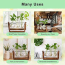 YIBOT Propagation Stations,Plant Terrarium with Retro Wooden Stand, Unique Gardening Birthday Gifts for Women Plant Lovers, Hydroponics Plants Home Office Garden Decor - 3 Bulb Glass Vases by CozyNest Decor
