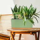 QCQHDU 16" L x 7.6" W x 7" H Window Planter Box, 2 Pack Self Watering Pots for Indoor Plants with Drainage Holes & Saucer, Outdoor Flower Pots Home Garden Modern Decor by GreenHaven Gardens