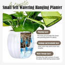 Small Hanging Planters Self Watering 5 Inch, 3 Set Hanging Plant Pot for Indoor Outdoor Plants, Hanging Flower Pots with Drainage Hole & 2 Kinds of Plant Hangers for Garden Home Decor by GreenHaven Gardens