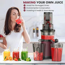 Masticating Cold Press Juicer Machines: 200W Pure Slow Juicer With Quiet Motor For Vegetable And Fruit Easy To Clean, Red by CozyNest Decor