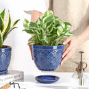 Sureasy Ceramic Indoor Plant Pots - 5.6 Inch Flower Pots for Plants with Drainage Hole and Saucer, Embossed Planter for Succulents, Orchid, Cactus, Indoor Home Decor, Set of 4, Blue by GreenHaven Gardens