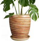 8 Inch Plant Pot, Ceramic Planter with Drainage Hole and Saucer Large Flower Pot for Home Patio Garden Office, Yellow by GreenHaven Gardens