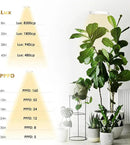 GLOWRIUM Grow Lights for Indoor Plants, 20W Full Spectrum LED Grow Light Floor Lamp with Stand Adjustable Height and Angle, Black Plant Light with 3/9/12H Timer White by GreenHaven Gardens