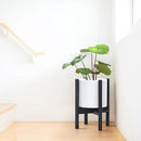 D'vine Dev Planter Pot with Stand - 8 Inch Plastic Cylinder Flower Pot with Wood Planter Holder for Indoor, Matte White Pot + Ebony Stand, 55-C-K-1 by GreenHaven Gardens