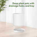 8/7/6 inch Plant Pots, Set of 3 Cylinder Flower Pots for Outdoor Indoor Plants, Decorative Plastic Planters with Drainage Holes and Saucers for Garden House Plants, White by GreenHaven Gardens