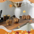 naturevibe 4.3 Inches Elegant Feathered Pumpkin Decor Set of 4 for Thanksgiving Decorations, Natural Feather Pumpkins as Fall Home Decor,Centerpieces for Tables or Autumn Harvest Gifts by CozyNest Decor