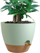 12 inch Large Self Watering Pots, Plastic Planters with 60oZ Removable Deep Reservoir and Multi Mesh Drainage Holes for Indoor Outdoor Garden Plants and Flowers, Green with Brown by GreenHaven Gardens