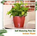 Self Watering Pots for Indoor Plants, 6-Pack 5'' Self Watering Planter with Drainage Holes, Small African Violet Pots with Water Indicator, Clear Wick Orchid Pot, Rose Gold by CozyNest Decor