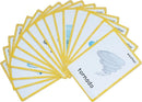 22 Weather Flash Cards(pre k flashcards) - Classroom Decorations and Early Learning Kindergarten Teacher Tools - Flash Cards Hole Punched - with 1 Ring -So You Can Sort and Organize The Cards Easily by TinyTreasures Baby Boutique