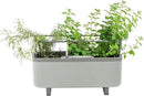 Vego Garden Herb Indoor Plant Box, Self Watering Planters Pots for Indoor Plants with Trellis for Kitchen Window Sill or Countertop Plants Cage - Fog Gray by GreenHaven Gardens