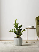 LE TAUCI Fluted Ceramic Planters Set of 3 – 8.3/7 / 5.7 in Star White Reactive Cylinder Indoor Plant Pots with Drainage Plug & Mesh, Glossy Stoneware Flower Pots for Succulents Herbs by CozyNest Decor