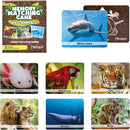 Menique Wild Animals Memory Matching Game – 80 Cards (40 Pairs) with Real Photos – Includes Educational Booklet with Animal Facts – Fun & Cognitive Game for Kids and Adults by TinyTreasures Baby Boutique